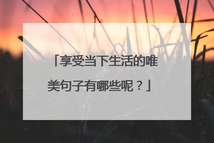 享受当下生活的唯美句子有哪些呢?