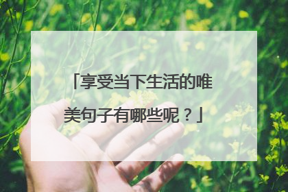 享受当下生活的唯美句子有哪些呢?