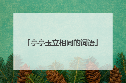 亭亭玉立相同的词语