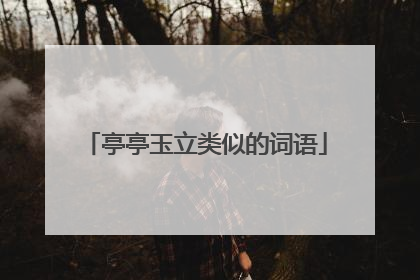 亭亭玉立类似的词语