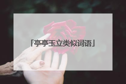 亭亭玉立类似词语