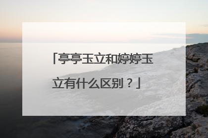 亭亭玉立和婷婷玉立有什么区别?