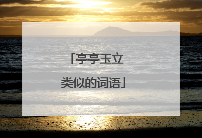 亭亭玉立 类似的词语