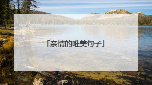 亲情的唯美句子