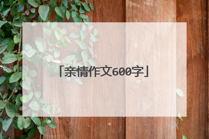 亲情作文600字