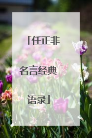 任正非名言经典语录