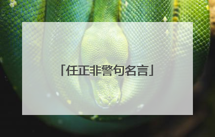 任正非警句名言
