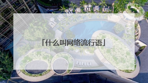 什么叫网络流行语