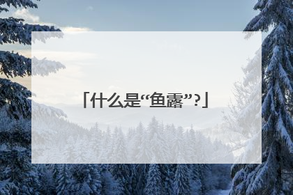 什么是“鱼露”?