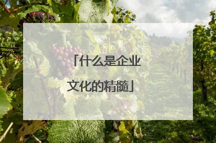 什么是企业文化的精髓