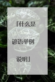 什么是谚语举例说明