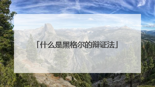 什么是黑格尔的辩证法
