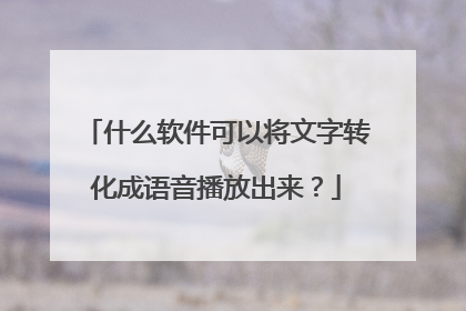 什么软件可以将文字转化成语音播放出来?