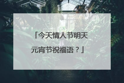 今天情人节明天元宵节祝福语?
