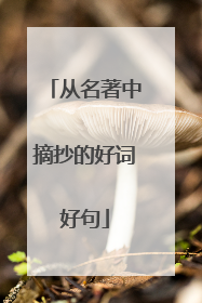 从名著中摘抄的好词好句
