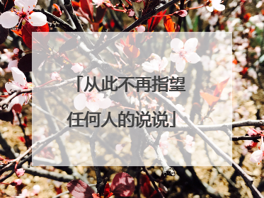 从此不再指望任何人的说说