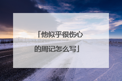 他似乎很伤心的周记怎么写