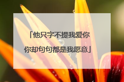 他只字不提我爱你 你却句句都是我愿意