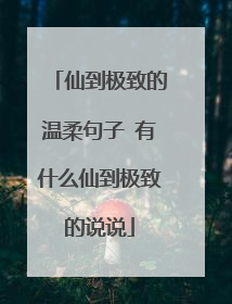 仙到极致的温柔句子 有什么仙到极致的说说