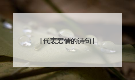 代表爱情的诗句