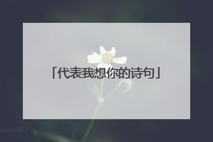 代表我想你的诗句