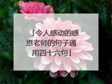 令人感动的感恩老师的句子通用四十六句