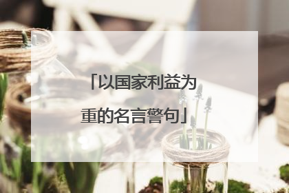 以国家利益为重的名言警句