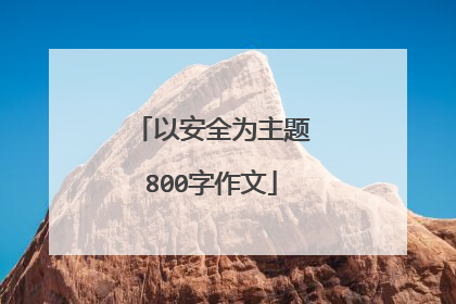 以安全为主题800字作文