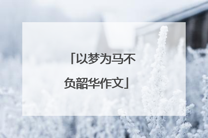 以梦为马不负韶华作文