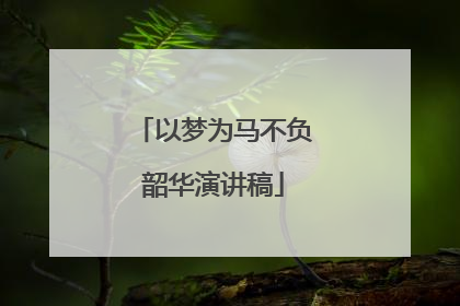 以梦为马不负韶华演讲稿