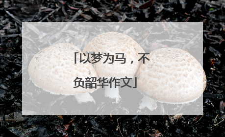 以梦为马,不负韶华作文