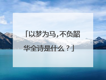 以梦为马,不负韶华全诗是什么?