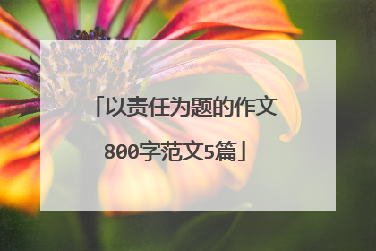 以责任为题的作文800字范文5篇
