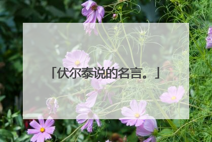 伏尔泰说的名言。