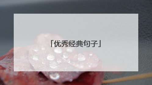 优秀经典句子