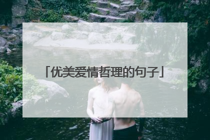 优美爱情哲理的句子