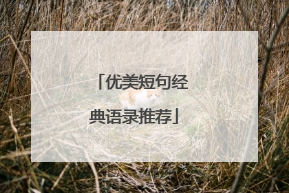 优美短句经典语录推荐