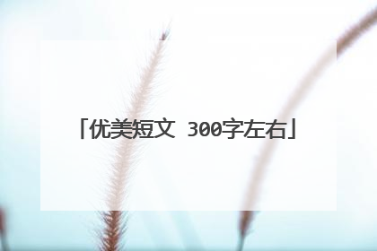 优美短文 300字左右