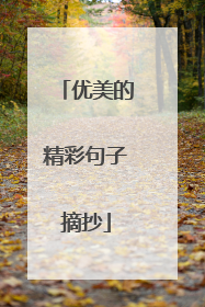 优美的精彩句子摘抄