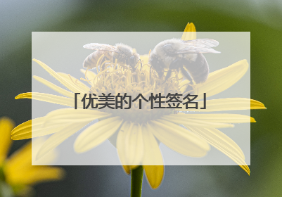 优美的个性签名