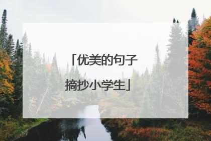 优美的句子摘抄小学生