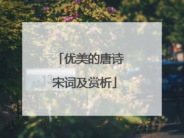 优美的唐诗宋词及赏析