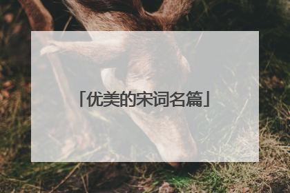 优美的宋词名篇