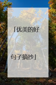 优美的好句子摘抄