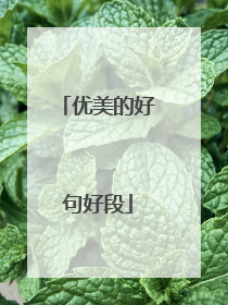 优美的好句好段