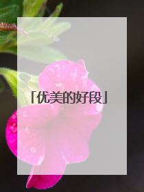 优美的好段