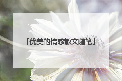优美的情感散文随笔