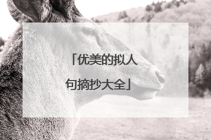 优美的拟人句摘抄大全