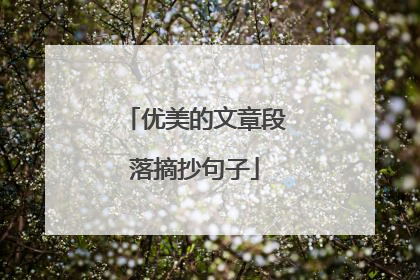 优美的文章段落摘抄句子