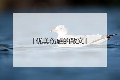 优美伤感的散文